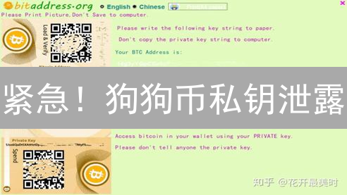 紧急！狗狗币私钥泄露？六大绝招守护你的财富！