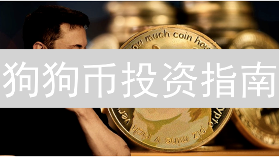 狗狗币投资指南：新手必看，抓住机遇，防范风险！