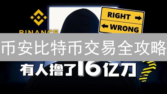 币安比特币交易全攻略：哪种模式更适合你？