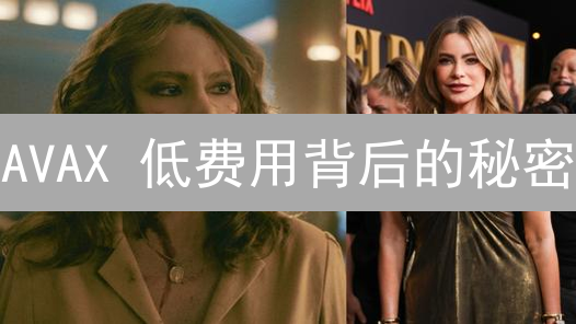 AVAX 低费用背后的秘密：颠覆区块链格局？