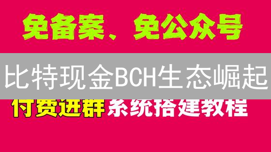 比特现金BCH生态崛起？这几个项目值得关注！（2024深度分析）