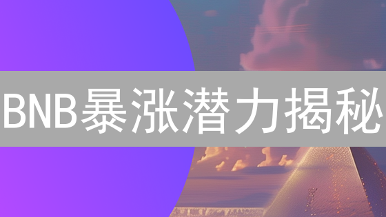 BNB暴涨潜力揭秘：2024年还能抓住翻盘机会吗？