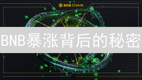 BNB暴涨背后的秘密：掌握这几点，让你不再韭菜！