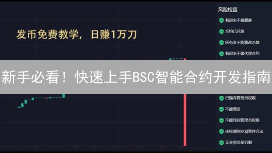 新手必看！快速上手BSC智能合约开发指南