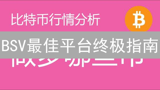 BSV最佳平台终极指南：交易、开发、学习一网打尽？