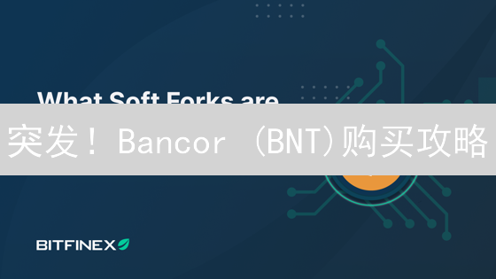突发！Bancor (BNT)购买攻略：抓住暴涨机会！
