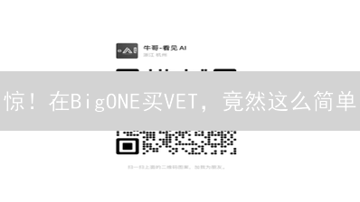 惊！在BigONE买VET，竟然这么简单？！新手必看！