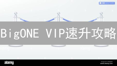 BigONE VIP速升攻略：手续费狂降秘籍！