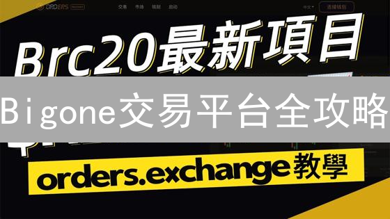 Bigone交易平台全攻略：解锁交易、理财、借贷收益秘籍！