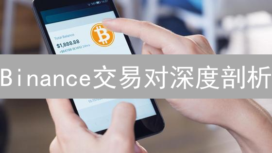 Binance交易对深度剖析：抓住投资机遇，规避风险？