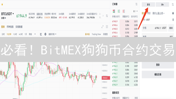 必看！BitMEX狗狗币合约交易：暴富秘籍与风险规避指南
