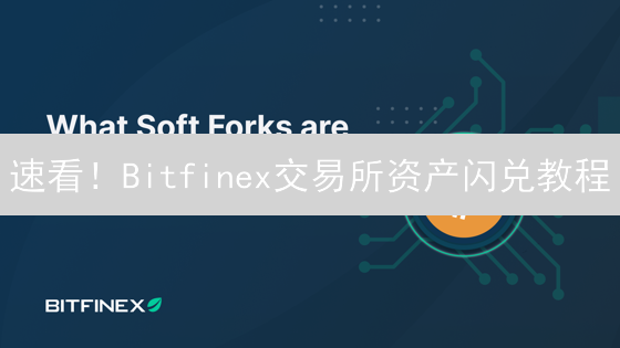 速看！Bitfinex交易所资产闪兑教程：避坑指南与省钱技巧