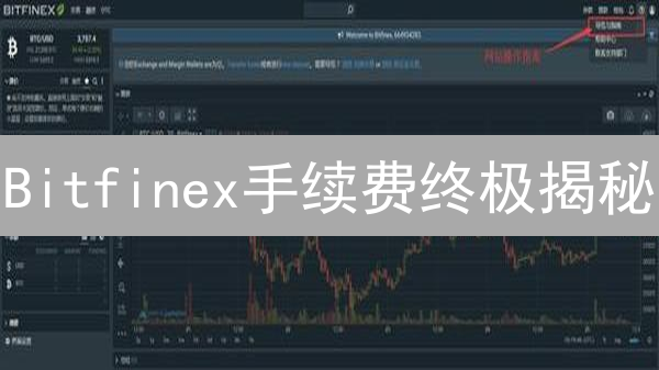 Bitfinex手续费终极揭秘：省钱策略大公开！