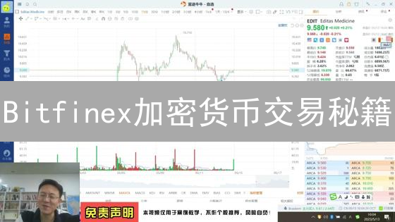 Bitfinex加密货币交易秘籍：订单类型与最佳买卖价格策略！