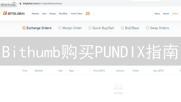 Bithumb购买PUNDIX指南：新手必看！小心这些风险！