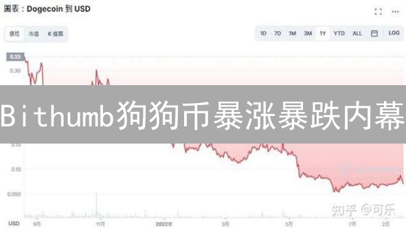 Bithumb狗狗币暴涨暴跌内幕：抓住最佳入场时机！
