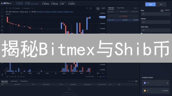 揭秘Bitmex与Shib币：高风险高收益的加密世界？