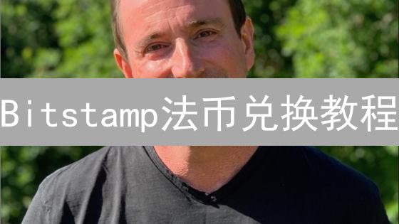 Bitstamp法币兑换教程：新手必看，快速上手指南！