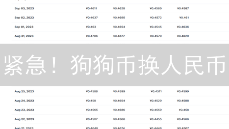 紧急！狗狗币换人民币：Bitstamp 无法直接兑换？还有这些替代方案！