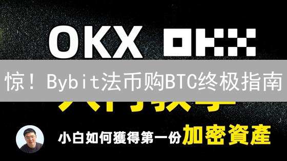 惊！Bybit法币购BTC终极指南：新手也能轻松上手？