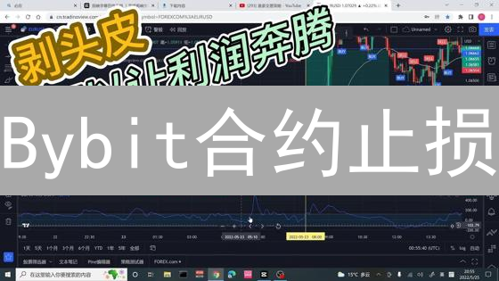 Bybit合约止损：掌握技巧，锁定收益，规避爆仓！