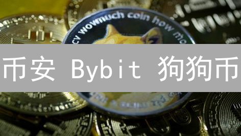 币安 Bybit 狗狗币：下一个暴富神话？速看！
