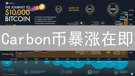 Carbon币暴涨在即？未来潜力深度剖析与投资风险警示！