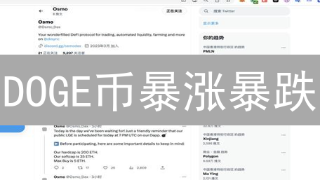 DOGE币暴涨暴跌？抓住最佳卖出时机，锁定利润！