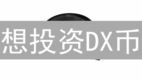 想投资DX币？2024年DX币风险、价值与投资策略分析！