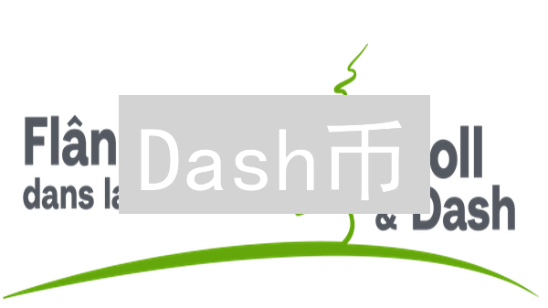 Dash币：真的匿名吗？揭秘PrivateSend的隐私真相！