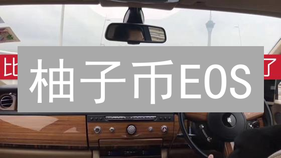 柚子币EOS：抓住最佳入场时机？揭秘影响价格的关键因素！