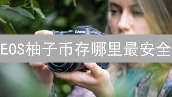 EOS柚子币存哪里最安全？交易所 vs 钱包，新手必看！