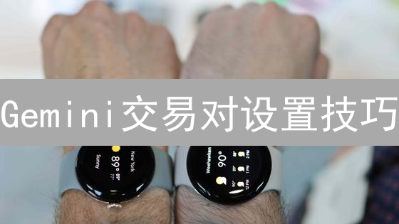 Gemini交易对设置技巧：基础、界面、订单详解