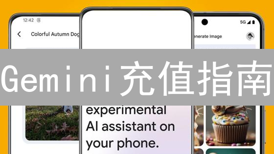 Gemini充值指南：手把手教你快速入金！🚀
