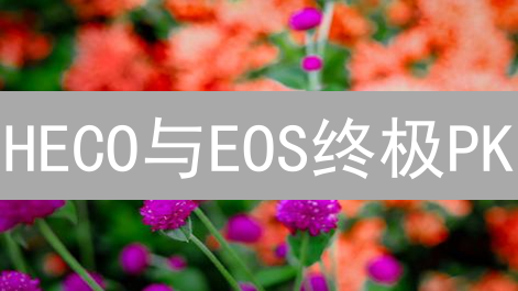 HECO与EOS终极PK：谁是DeFi王者？速看！