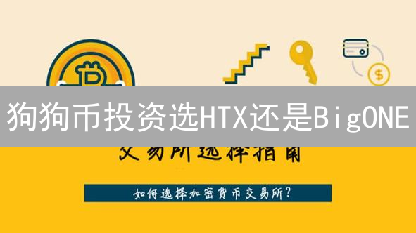 狗狗币投资选HTX还是BigONE？多维度对比助你决策！