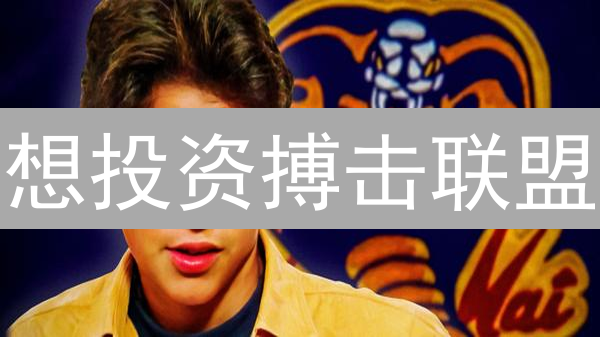 想投资搏击联盟？如何购买KarateCombat代币？