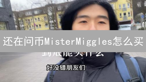 还在问币MisterMiggles怎么买？掌握这4步，新手也能轻松搞定！