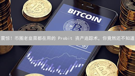 震惊！币圈老韭菜都在用的 Probit 资产追踪术，你竟然还不知道？