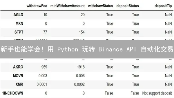 新手也能学会！用 Python 玩转 Binance API 自动化交易