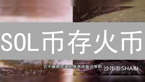 SOL币存火币：长期持有是天堂还是地狱？