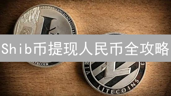 Shib币提现人民币全攻略：3种方法对比与风险提示！
