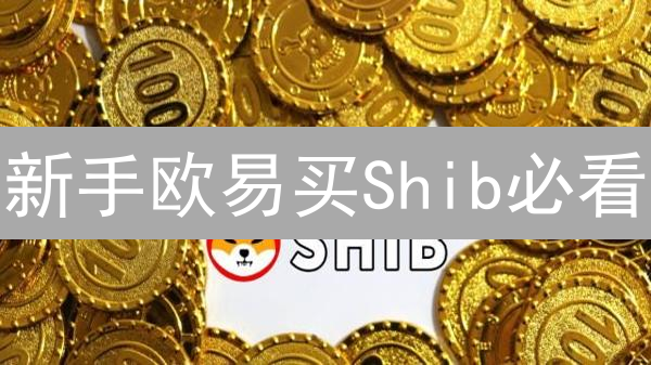 新手欧易买Shib必看：法币入金最全指南，快速上手！
