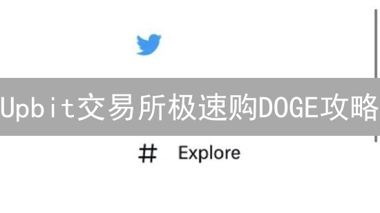 Upbit交易所极速购DOGE攻略：新手也能轻松入手狗狗币？