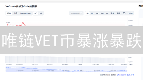 唯链VET币暴涨暴跌？抓住这5个价格密码，躺赢！
