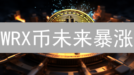 WRX币未来暴涨？深度解析WazirX代币潜力与风险！【2024最新】