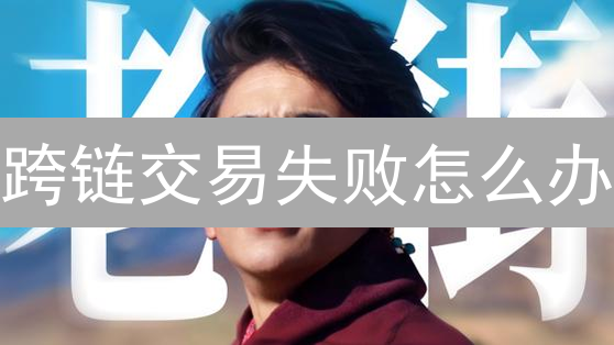 跨链交易失败怎么办？Web3用户必看避坑指南【2024最新】