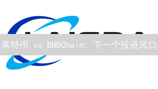 莱特币 vs BNBChain: 下一个投资风口？深度对比！